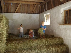 Children's area