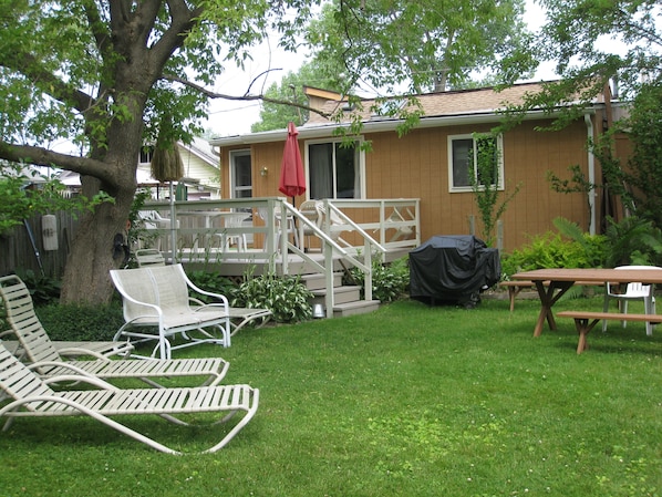 Back yard