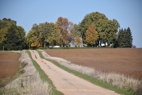 long driveway to farmhouse