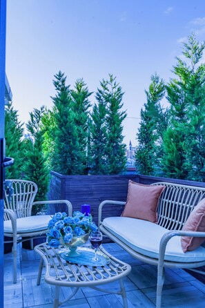 Terraza o patio
