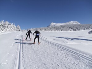 Skidåkning och snöaktiviteter