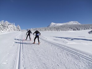 Skidåkning och snöaktiviteter