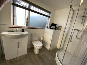 Walk in shower with toilet, wash basin and heated towel rail