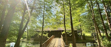 Walkway over the pond to enter the cabin
