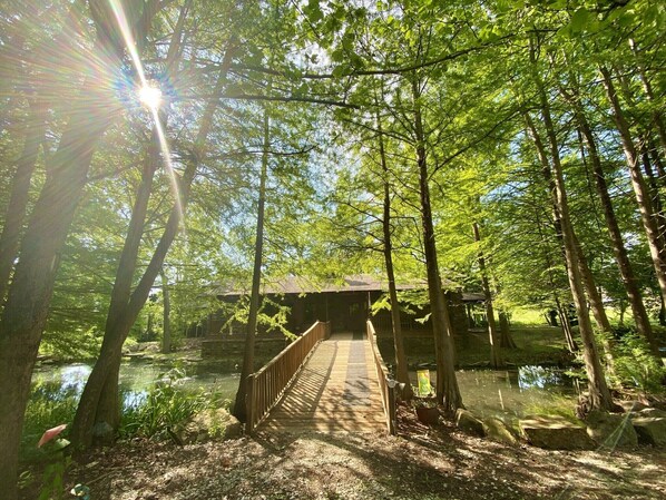 Walkway over the pond to enter the cabin