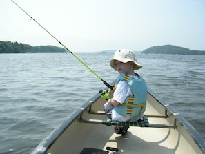 striped bass, sturgeon, who knows