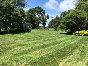 Backyard looking towards the pool. 