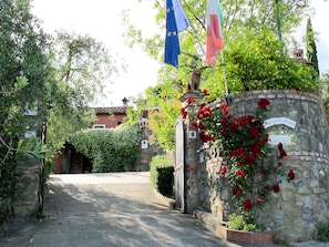 Plant, Flower, Building, Window, Sky, Tree, Vegetation, Road Surface, Flag, Cottage