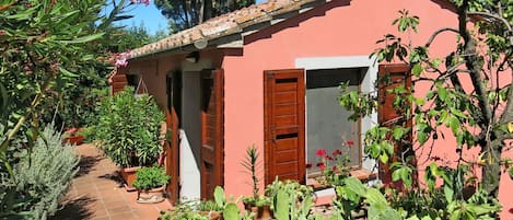 Planta, Edificio, Propiedad, Planta De La Comunidad, Ventana, Flor, Cielo, Naturaleza, Hoja, Maceta