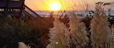 Sunrise from the pool