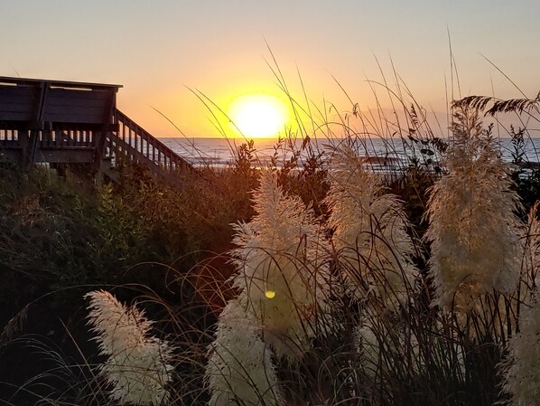 Sunrise from the pool