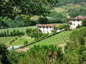 Plant, Building, Plant Community, Green, Tree, Natural Landscape, House, Highland, Land Lot, Grass