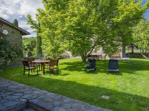 Plant, Furniture, Cloud, Table, Leaf, Outdoor Bench, Tree, Natural Landscape, Shade, Botany