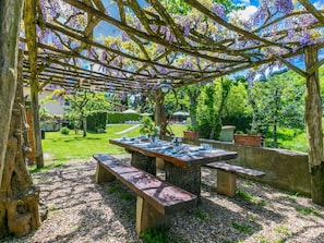 Garten, Schatten, Ground, Tisch Im Freien, Gartenmöbel, Hinterhof, Design, Landscaping, Garten, Botanischer Garten