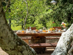 Table, Plant, Wood, Branch, Sunlight, Trunk, Tree, Natural Landscape, Grass, Outdoor Furniture