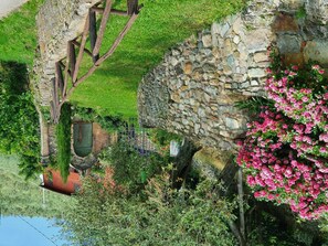 Végétation, Mur, Plante, Fleur, Roche, Arbre, Herbe, Mousse, Mur De Pierre, Printemps