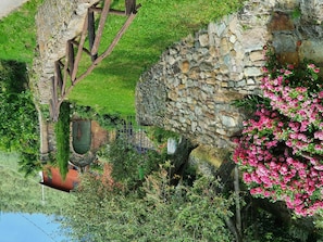 Vegetation, Muur, Fabriek, Bloem,  Felsen\", Boom, Gras, Mos, Stenen Muur, De Lente