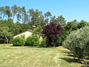 Baum, Eigentum, Vegetation, Natürliche Landschaft, Grundeigentum, Gras, Haus, Garten, Pflanze, Botanik