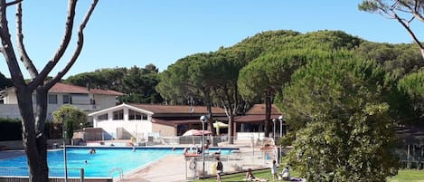 Plant, Water, Sky, Property, Tree, Green, Building, Swimming Pool, Shade, Leisure