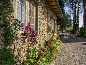 Fleur, Plante, Bâtiment, Fenêtre, Maison, Arbre, Bois, Zone Résidentielle, Quartier, Chalet