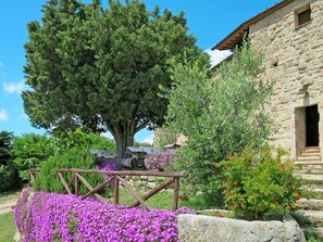 Fleur, Propriété, Arbre, Plante, Jardin, Printemps, Maison, Arbuste, Zone Rurale, Immobilier