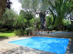 L'Eau, Plante, Propriété, La Nature, Arbre, Ombre, Végétation, Herbe, Paysage Naturel, Arecales