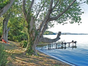 Tree, Shore, Bank, Trunk, Dock, Lake, Boardwalk, Walkway