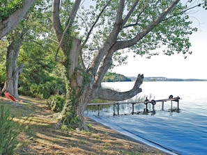 Tree, Shore, Bank, Trunk, Dock, Lake, Boardwalk, Walkway