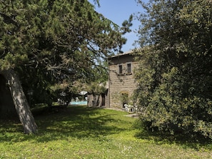 Plant, Building, Sky, Window, Tree, Natural Landscape, Grass, Cottage, House, Landscape