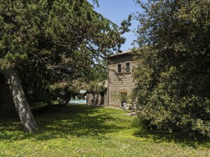 Plante, Bâtiment, Ciel, Fenêtre, Arbre, Paysage Naturel, Herbe, Chalet, Maison, Paysage