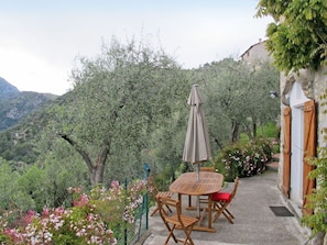 Propriété, Jardin, Immobilier, Botanique, Arbre, Maison, Station De Montagne, Chalet, Bùtiment, Zone Rurale