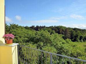 Vegetation, Eigentum, Baum, Himmel, Botanik, Grundeigentum, Blatt, Strauch, Garten, Pflanze