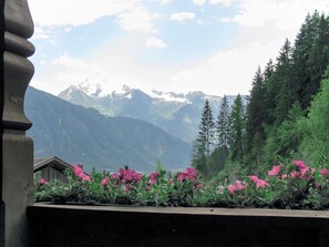 Mountainous Landforms, Nature, Mountain, Mountain Range, Wilderness, Alps, Flower, Natural Landscape, Plant, Sky