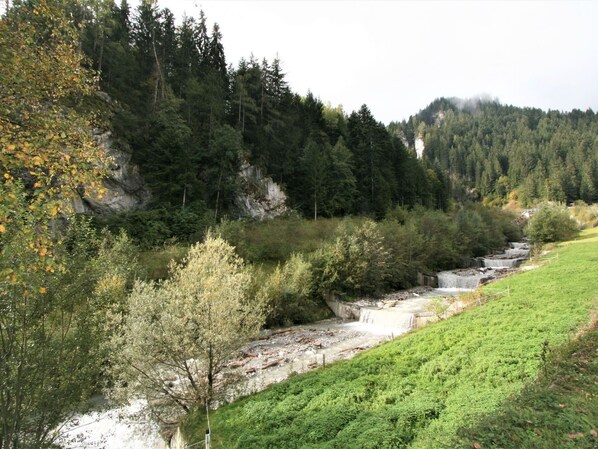 Pflanze, Pflanzengemeinschaft, Wasser, Natürliche Landschaft, Baum, Lärche, Wasserlauf, Bank, Himmel