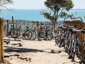 Vélo, Roue, Roue De Bicyclette, Ciel, L'Eau