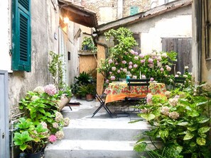 Eigentum, Hof, Gebäude, Haus, Hinterhof, Pflanze, Blume, Garten, Terrasse, Garten