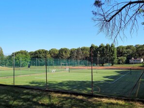 Himmel, Pflanze, Baum, Zaun, Grundstueck, Schatten, Gras, Gittergewebe, Wire Fechten, Sportausrüstung