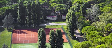 Propriété, Plante, Paysage Naturel, Botanique, Bâtiment, Maison, Lot Terre, Haie, Végétation, Herbe