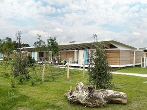 Nuage, Plante, Ciel, Bâtiment, Arbre, Lot Terre, Fenêtre, Herbe, Maison, Paysage