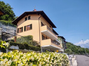 Blume, Himmel, Pflanze, Eigentum, Gebäude, Weiss, Fenster, Grün, Haus, Gelb