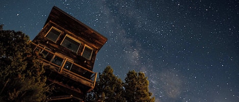 Stargazing right from your treetop cabin