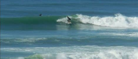 Surf Lacanau