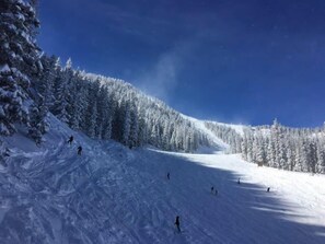 Skidåkning och snöaktiviteter