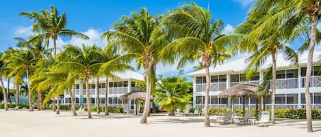 View from the Beach