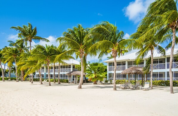 View from the Beach