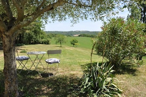 café under the olive trees?