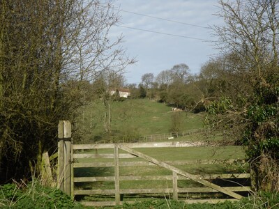 Amazing views of the North York Moors