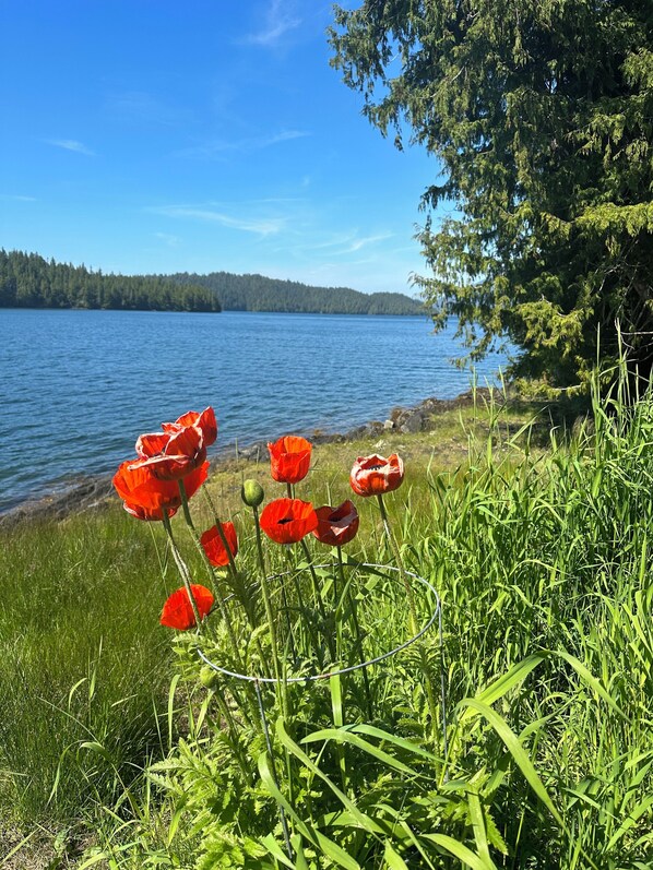 Alaskan beauty 