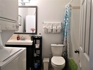 functional bathroom with shower and bath/ luxury shower head