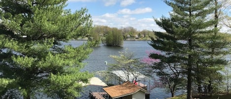 Upper level deck view of the lake & cypress trees